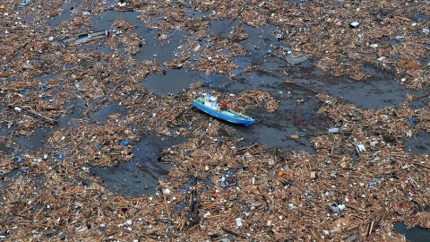 海上漂流可逾六年 外來種隨塑膠垃圾播遷成生態破口