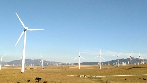 熱到快融化？ 聯合國：緊急減少甲烷排放 2045年全球可降溫0.3°C