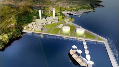 填海造陸恐傷珊瑚 協和電廠改建環評補正再審 環委批生態報告問題多