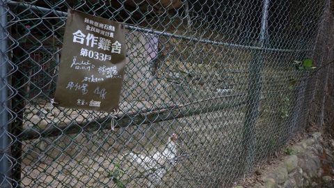 改變中的社會氛圍——石虎復育的未竟之路