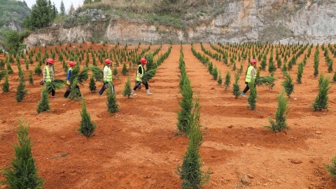  中國《礦產資源法》修訂首次納入修復生態，但被指仍有缺口