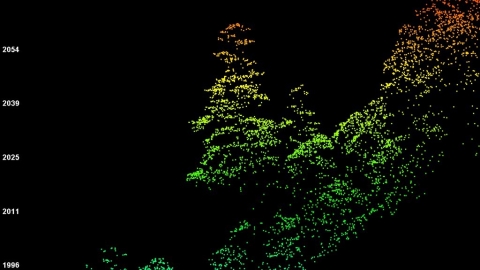 空載光達讓272棵巨木現身 「找樹的人」要畫出全國巨木地圖