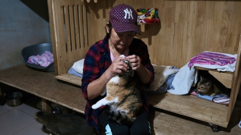 王富美浪浪家園 給受虐傷貓狗一個家