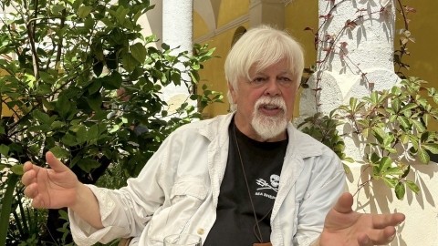  為了海洋遭關押近半年，值得嗎？ 專訪反捕鯨鬥士Paul Watson︰這是改變世界必經之路