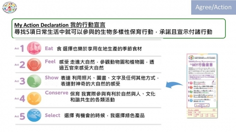 主流化就是行動！ 每天為生物多樣性做的五件事 日專家祕技大公開