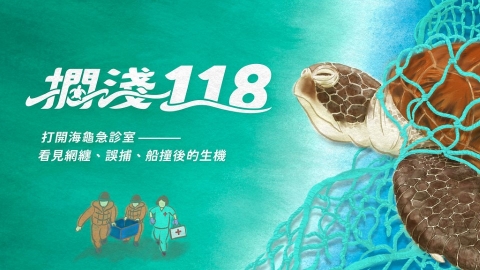 終於等到這一刻：海龜「中寶」野放現場直擊