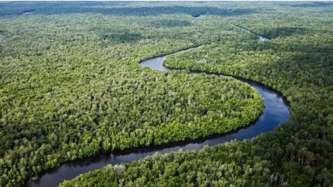 為野生動物留下30%的地球還不夠 研究：保護區應落實物種導向管理