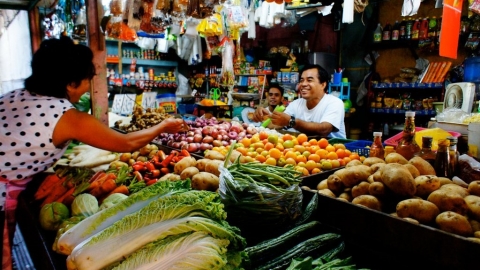 菲律賓「沙拉碗」中的革命：高冷蔬菜轉型之路 解救農業與生態危機
