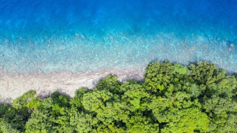 生物多樣性大會第一回合結束！ 人類離保護生態又更進一步了嗎？