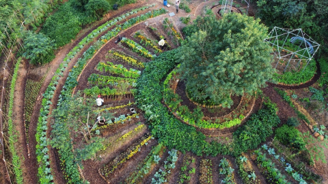 紅土森林 孕育生物多樣性農場