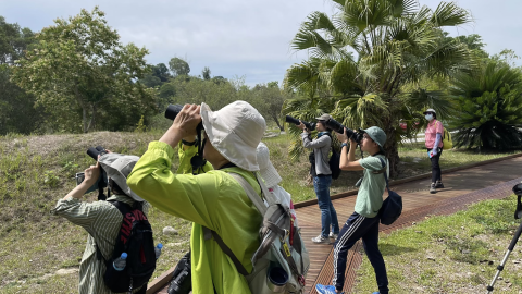 鳥類觀察大比拼 從賞鳥比賽認識自然生態