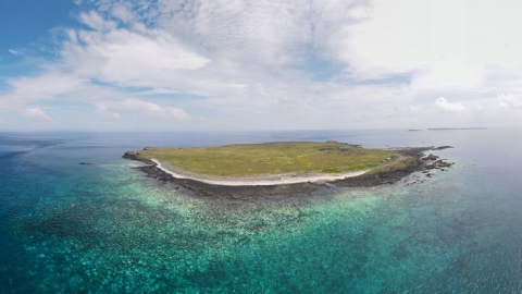 海洋「熱壓力」致2020年最大規模珊瑚白化 學者呼籲宣告氣候緊急