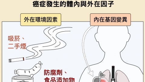 肺癌患者半數不曾吸菸？女生比男生容易罹癌？找到臺灣人肺癌關鍵成因