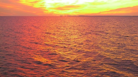 半永久性熱浪來臨？ 美國研究：海洋熱浪漸增 將威脅沿海生態