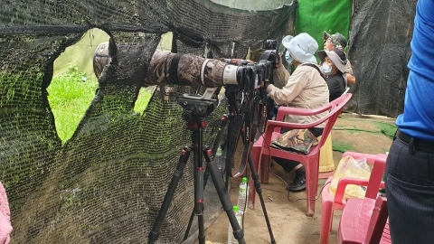 快門淪兇器 民間團體臥底兩年 揭全台六處非法拍鳥場所