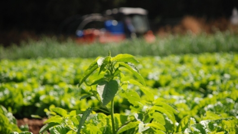 升溫不超過2°C的變數 全球農業氮肥「一氧化二氮預算」首出爐