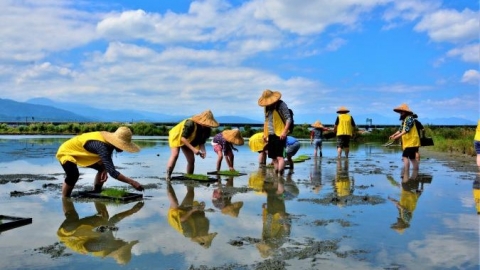 人與鳥的共食天堂 - 五十二甲溼地
