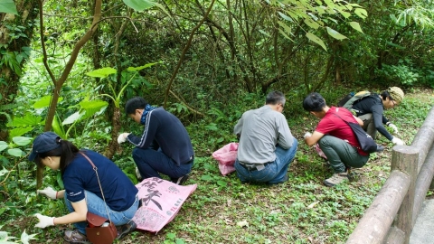 優力造訪陽明山天溪園東北季風林 協助移除巴西水竹葉