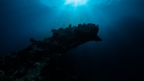研究：氣候變遷加劇 海洋熱含量連4年破紀錄