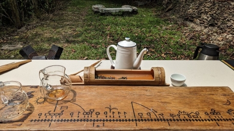 探訪台灣山茶故鄉 藤枝森林遊樂區深度體驗布農山林智慧