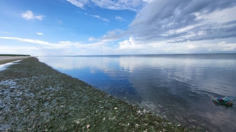 逐步掌握全台藍碳生態系 海保署估：現存藍碳量逾34萬公噸
