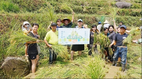 淡水農業 學生下田耕作與土地產生連結