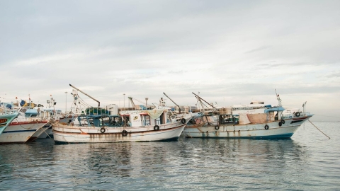 過漁讓「藍碳」消失中！ 世界前十大有害漁業補貼國家 台灣也上榜