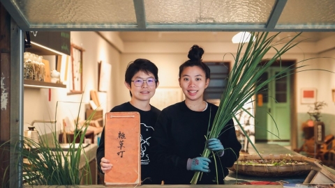 在都市復育雜草 為土地煮一鍋青草茶