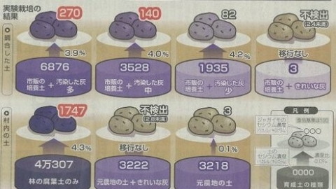 福島農夫的七種土質實測：土壤輻射污染越高，作物污染越嚴重