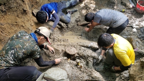台灣史上最大、最完整鯨魚化石出土 科博館館長：意義重大