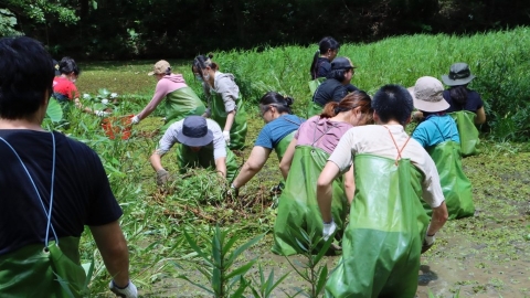 生態工作假期 阿里磅攜手大眾護濕地