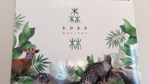 美照的代價 林試所年曆遭民眾檢舉 疑似以魚湯和蘋果誘拍麝香貓