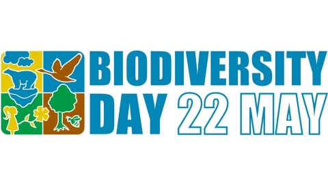 2022國際生物多樣性日：共建地球生命共同體