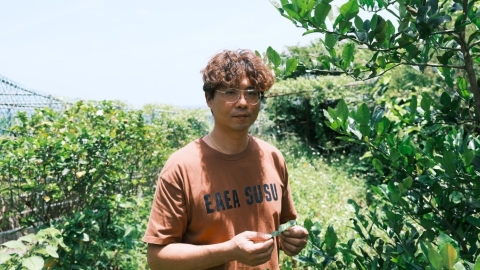 王御庭留草翻土 在海邊種出多種香草