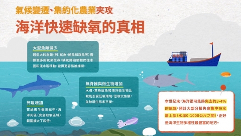 沒有氧氣魚怎麼活？ 一張圖帶你了解海洋缺氧真相