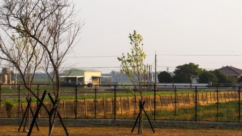 阿古力社會企業 雲林的有機推手