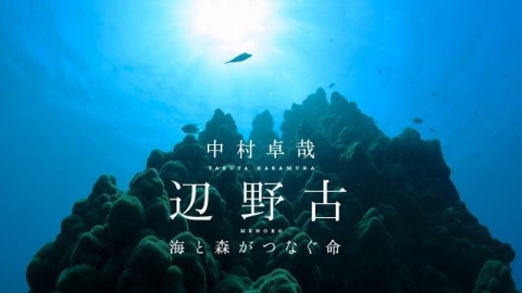 憂心遭填海工程破壞的海洋 日本攝影師下潛拍攝逾17年