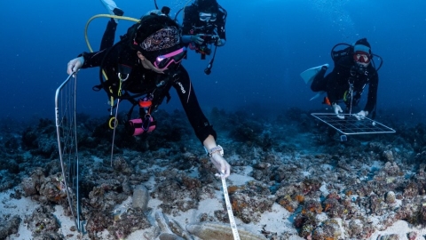 小琉球逾百萬人登島、魚類數量劇減 海保署︰海保法本會期難立法