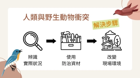 博威鳥控化解人鳥衝突