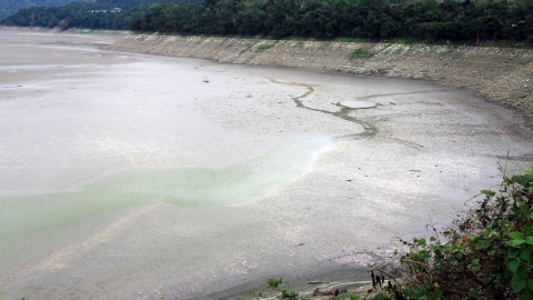 春季旱象、水稻減產、埃及斑蚊北移... 專家揭台灣未來多重氣候風險