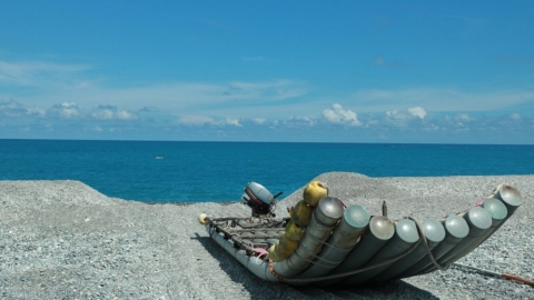 不再魚取魚求「洄遊吧」讓海洋永續