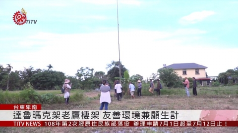 台東田間架老鷹棲架 猛禽巡田防鳥、鼠害