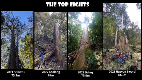 尋遍巨木 找樹的人團隊見證台灣巨木的現身與死亡