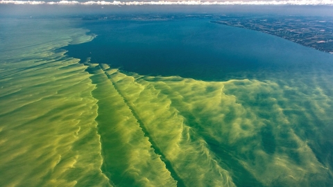 氣候變遷衝擊 美國全國性的毒藻危機將成常態