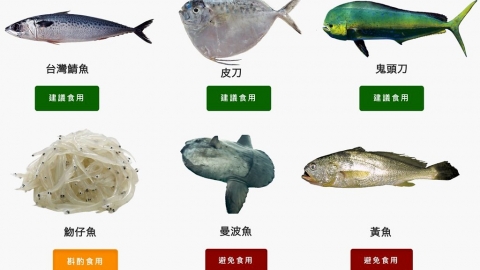 養殖和遠洋水產哪個碳排低？ 答：資訊不透明 買低碳海鮮和人生一樣難