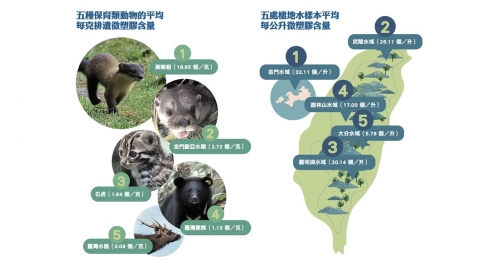 黃喉貂排遺微塑膠檢出率100% 綠色和平公布首份保育類動物塑膠污染調查
