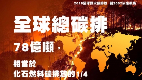 圖解2019全球野火碳排放：巴西、印尼、澳洲與北極圈