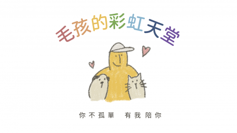 毛孩的彩虹天堂 讓生命圓滿落幕
