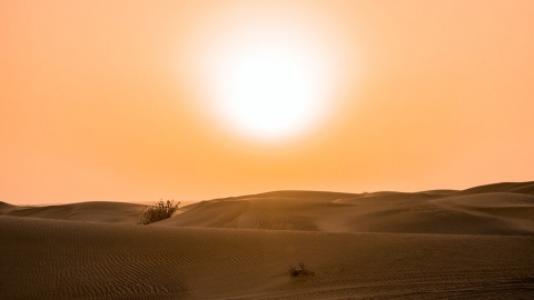 世紀末地球仍升溫2.4°C 研究顯示各國十年內減碳力度不足