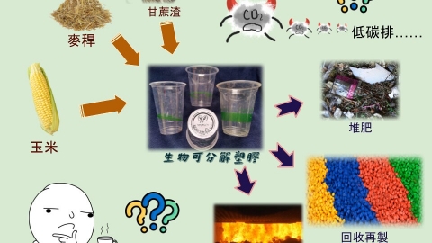 生物可分解塑膠，能治好我們的塑膠依存症嗎？（下）